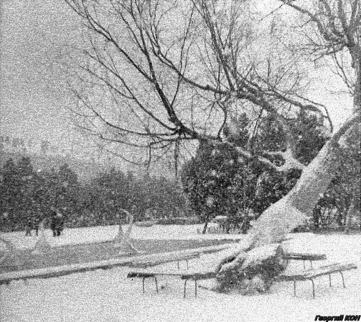 Lebedi-fontan-bulvar-%D0%A4%D0%BE%D1%82%