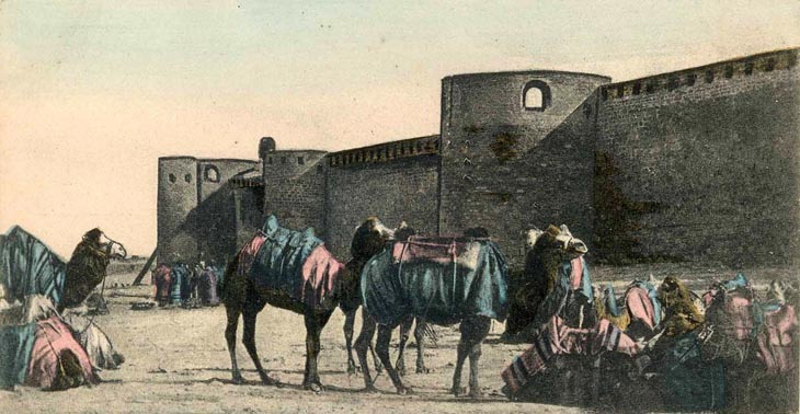 Старинные открытки Кавказа: Верблюды в Баку и на Абшероне (ФОТО)