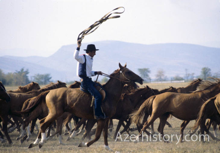 Агдамский-конный-завод.-Фото-В.Калинина-1986-года