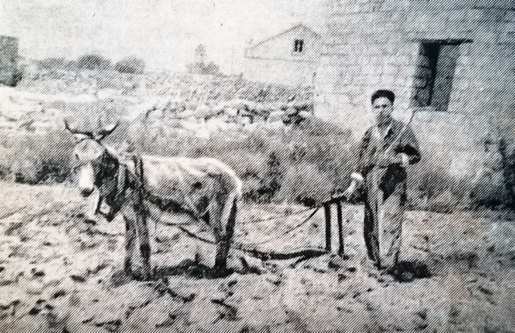 Типы пахотных орудий, которыми пользовались в Азербайджане в XIX в.